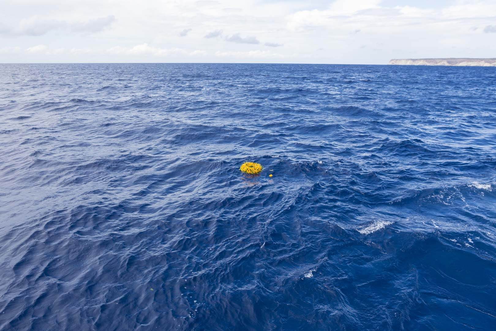 Gli 11 cadaveri di Lampedusa non restino vittime senza nome